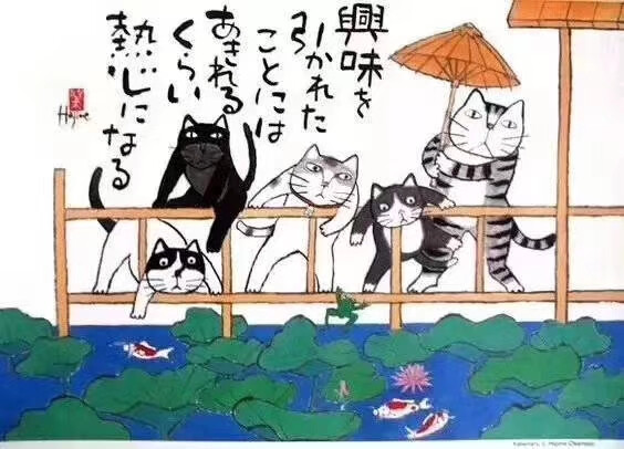 猫咪