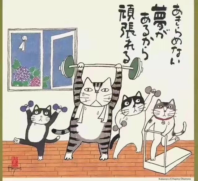 猫咪