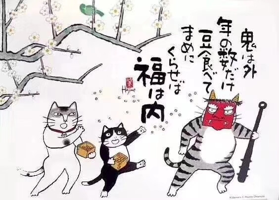 猫咪