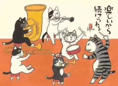 猫咪