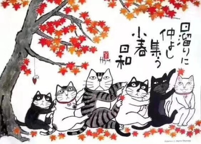 猫咪