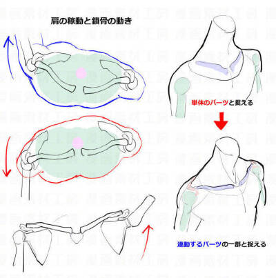 肩膀老是画不顺溜 看这组实用教程学习一下 自己借鉴 转需~ ?