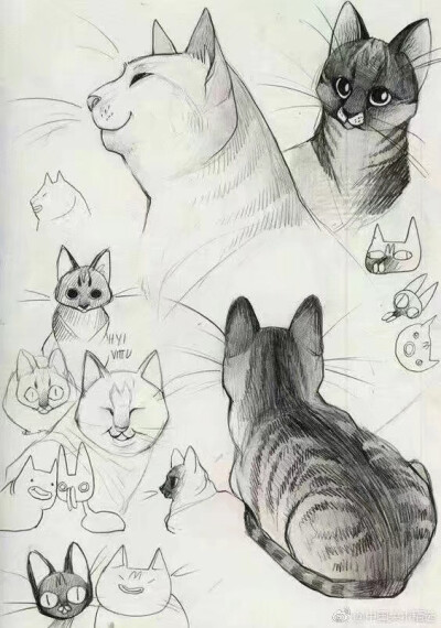 猫的画法