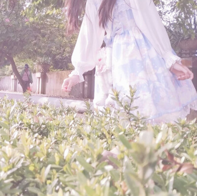 二传注明dt林稚学姐