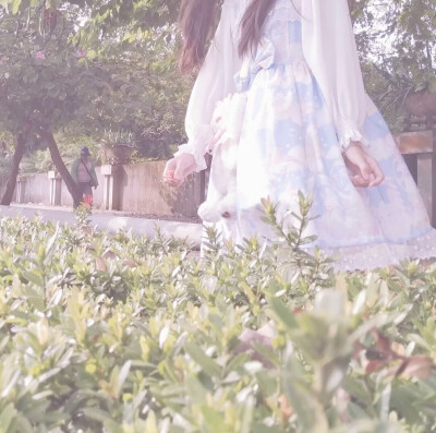 二传注明dt林稚学姐