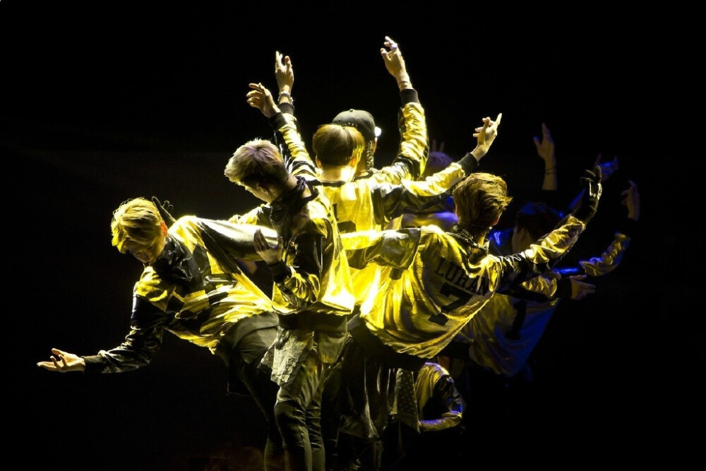exo生命之树