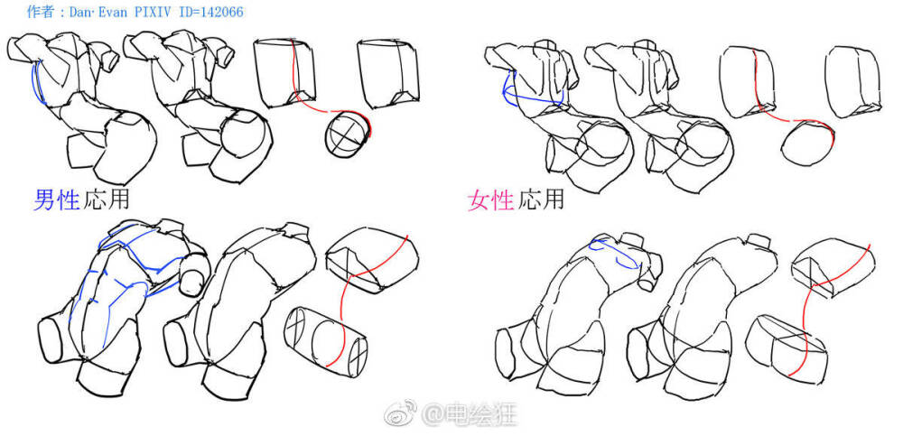 人体结构教程