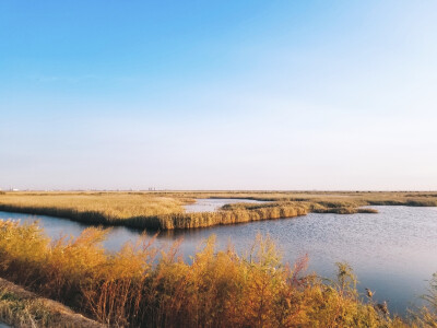 风景 壁纸 安静 美景 壁纸