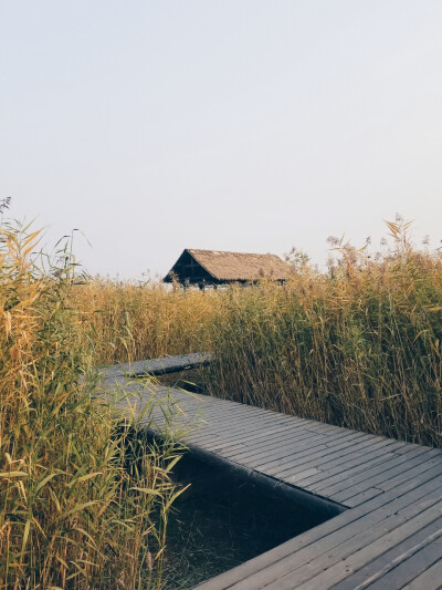 风景 壁纸 安静 美景 壁纸