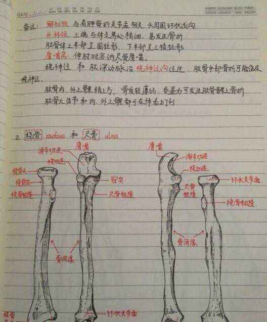 学霸笔记