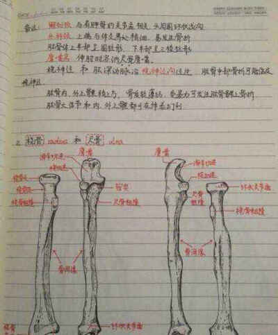 学霸笔记