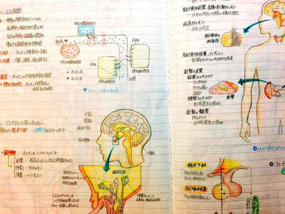 学霸笔记