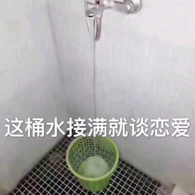 沙雕的快乐源泉