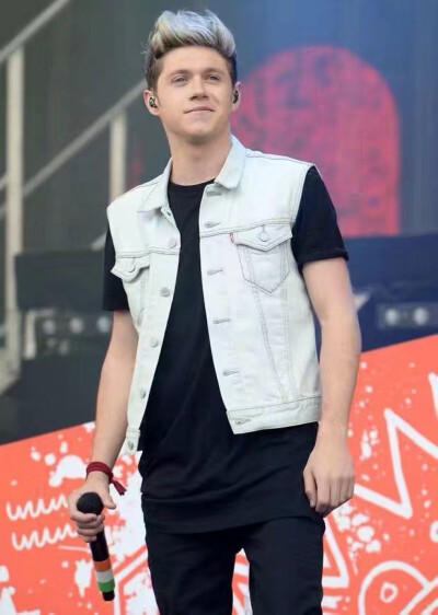 Niall Horan奶儿 from One Direction 1D 破团