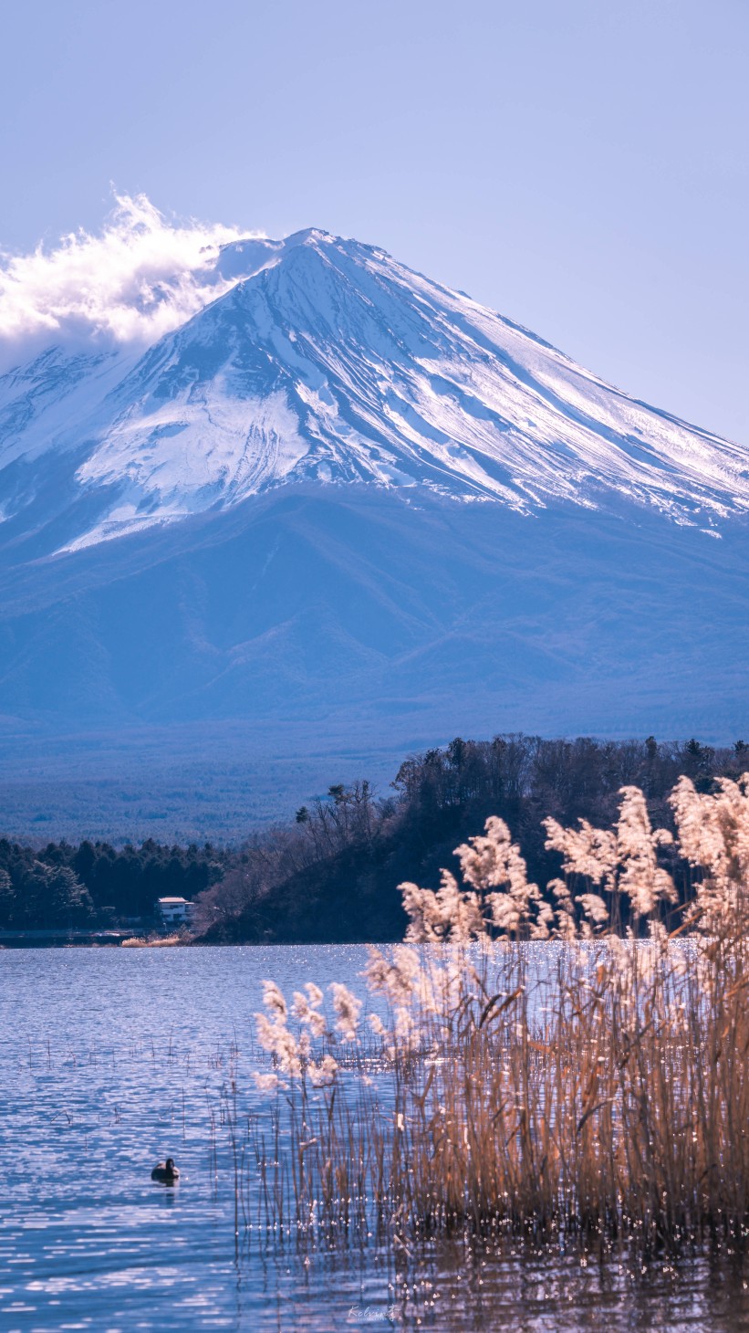 富士山
