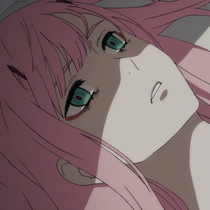 《DARLING in the FRANXX》