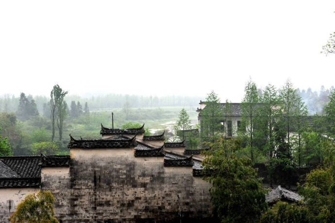 雨后树木新，深山雾气浓；闲来无要事，煮杯清茶饮 。