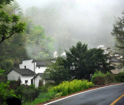 雨后树木新，深山雾气浓；闲来无要事，煮杯清茶饮 。