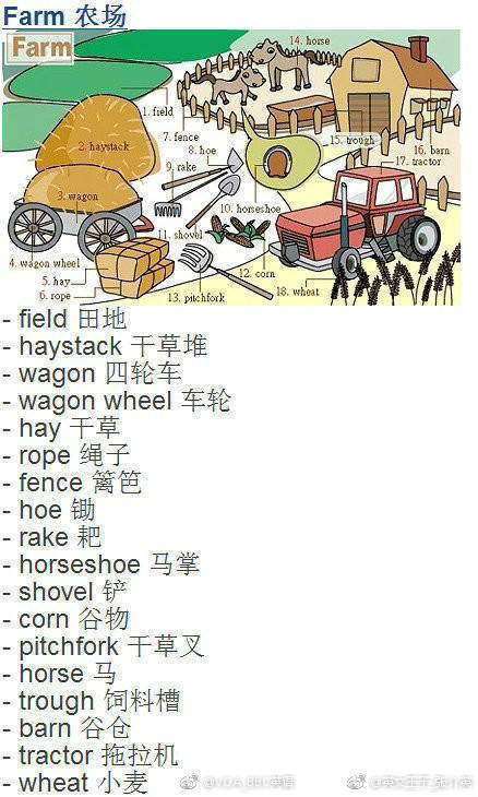 多场景分类英文词汇集锦