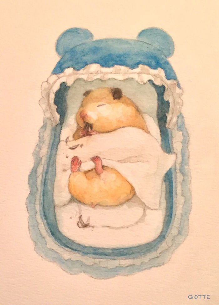 日本艺术家Gotte画笔下的宠物小仓鼠Sukeroku，可爱吗？