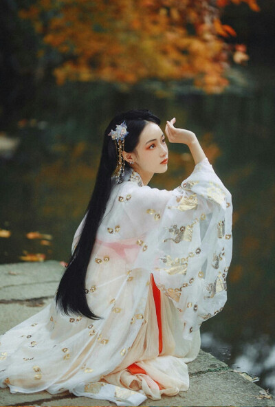 有美一人，清扬婉兮。