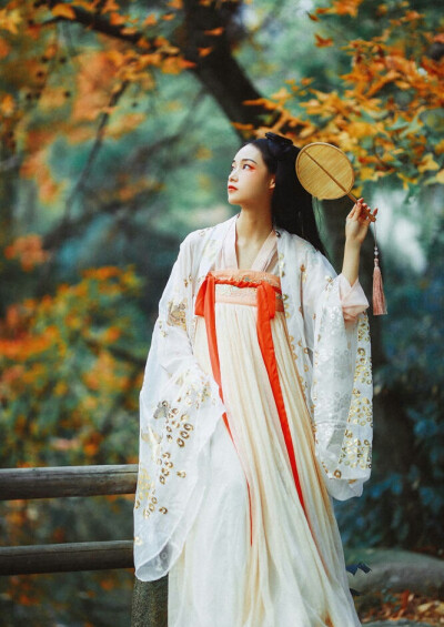 有美一人，清扬婉兮。