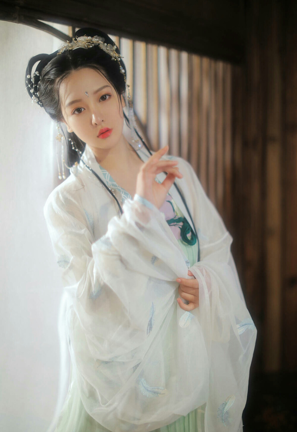 有美一人，清扬婉兮。