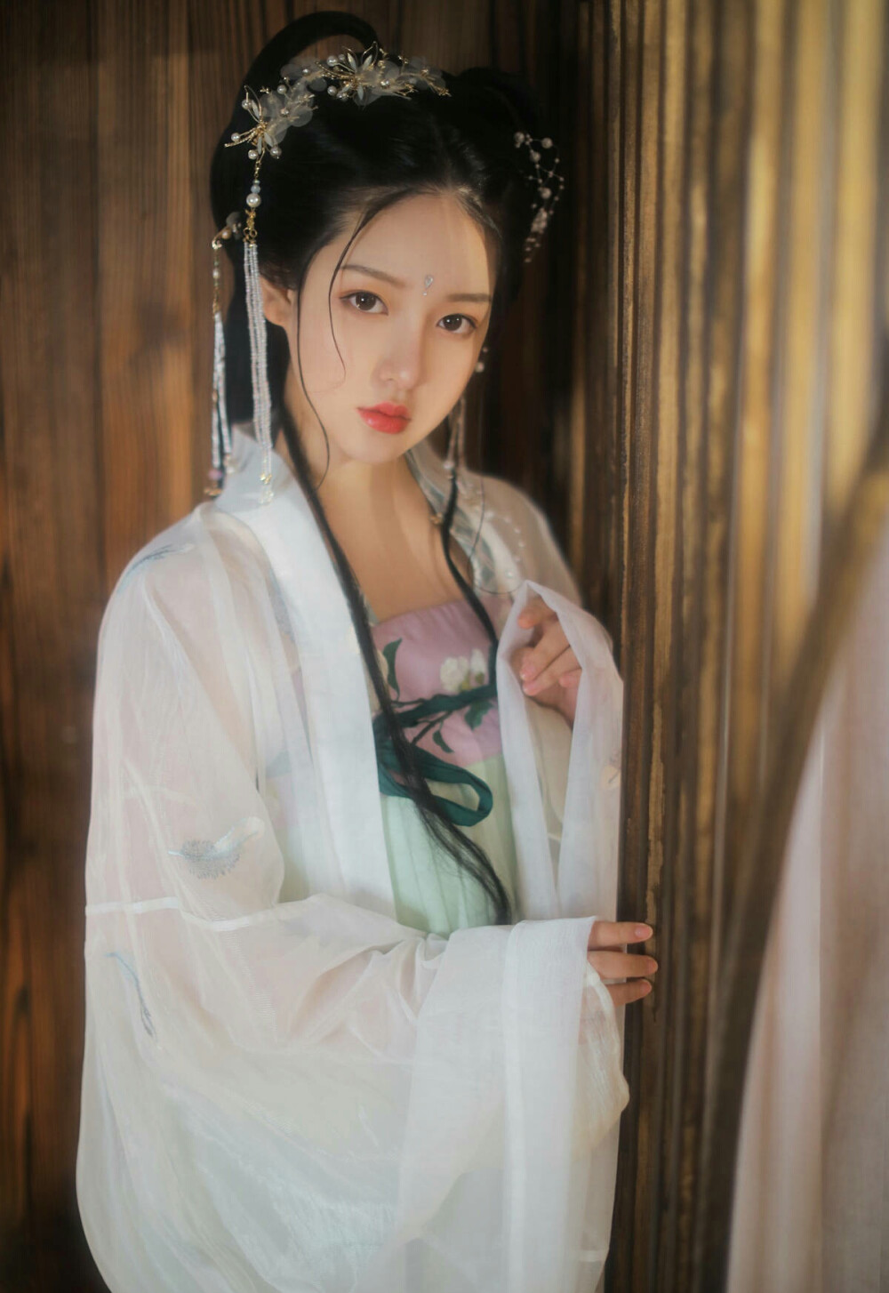 有美一人，清扬婉兮。