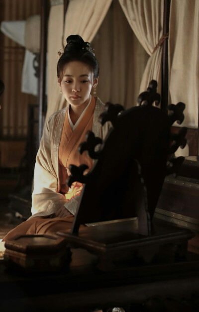 知否知否 盛如兰 张佳宁