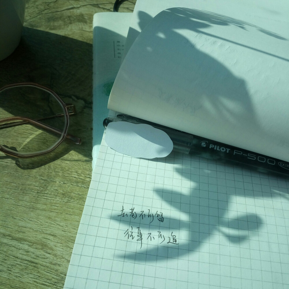 桃沢里奈 以前的一些实拍