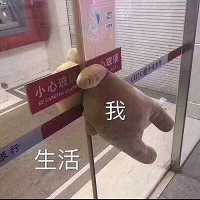 生活与我