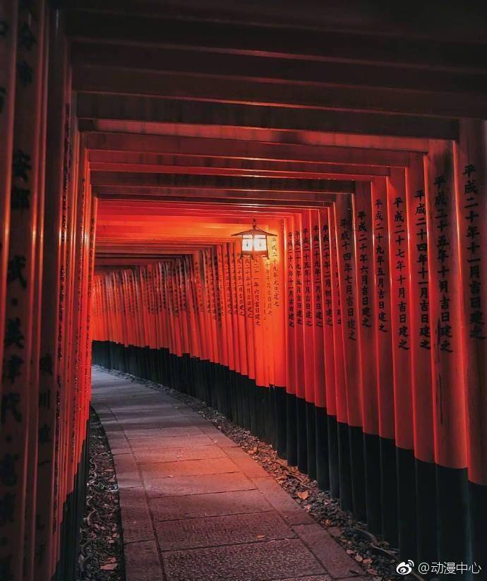 日本.东京.京都.樱花