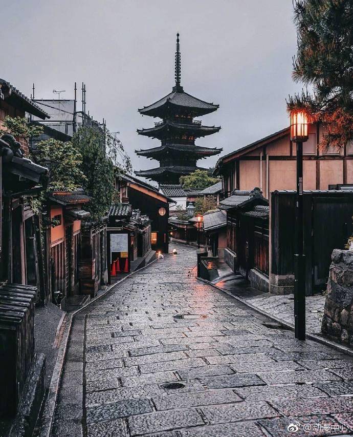 日本.东京.京都.樱花