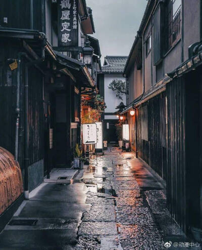 日本.东京.京都.樱花