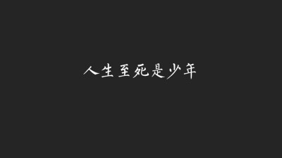 文字说明