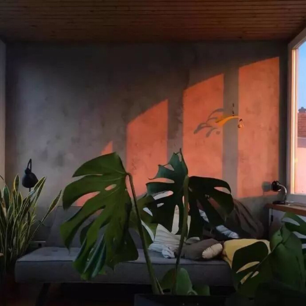 #恶魔缠身
你告诉我破镜怎么重圆
逃不过墓碑下那孤独的长眠
————————————————
终于会拍这个啦
拍法超简单就是找一个手电筒对着一面白墙然后拍自己的影子就可以啦