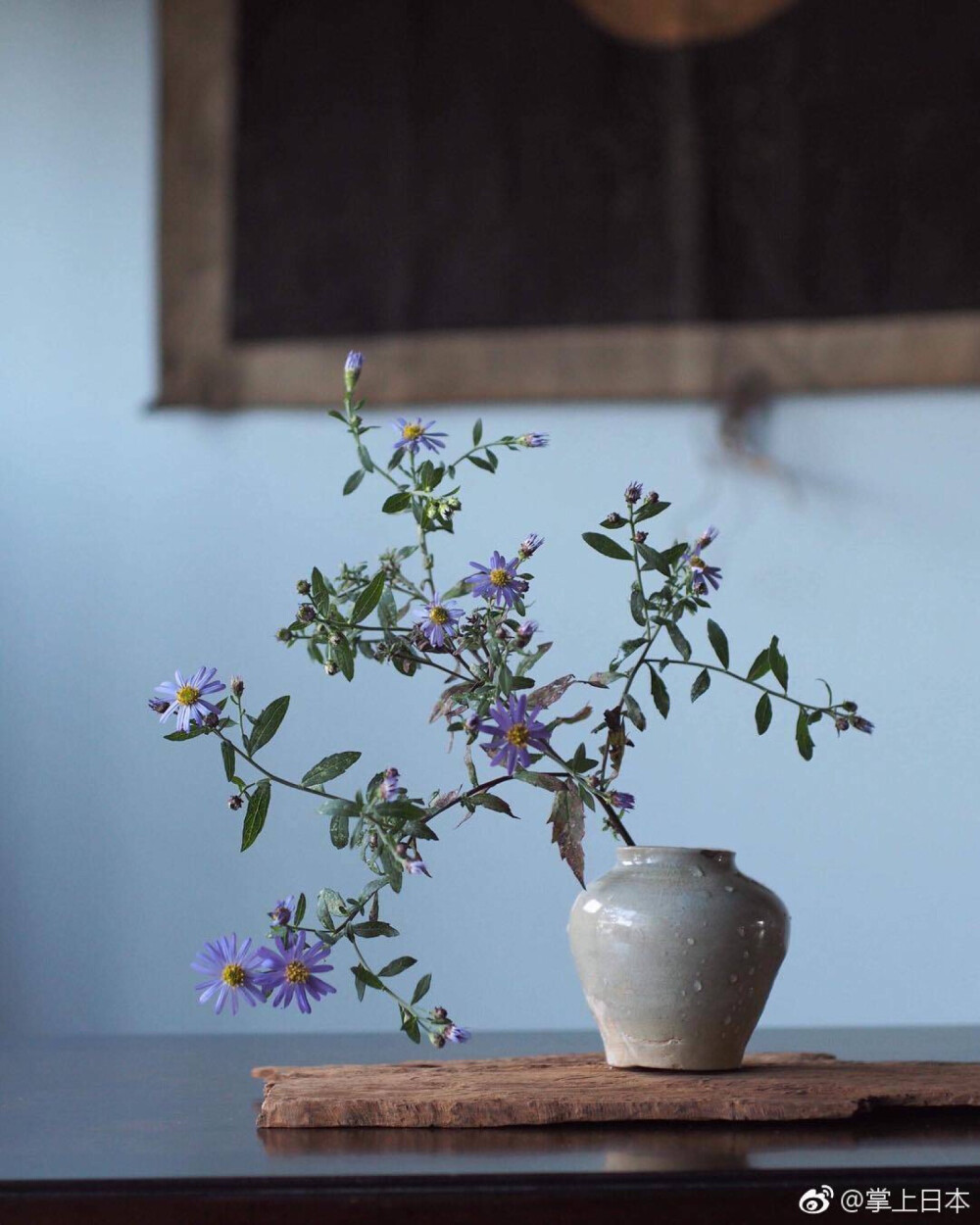 一日一花