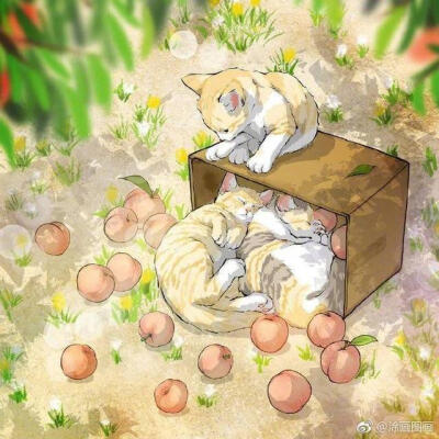 수연재（sooyeonjae)
