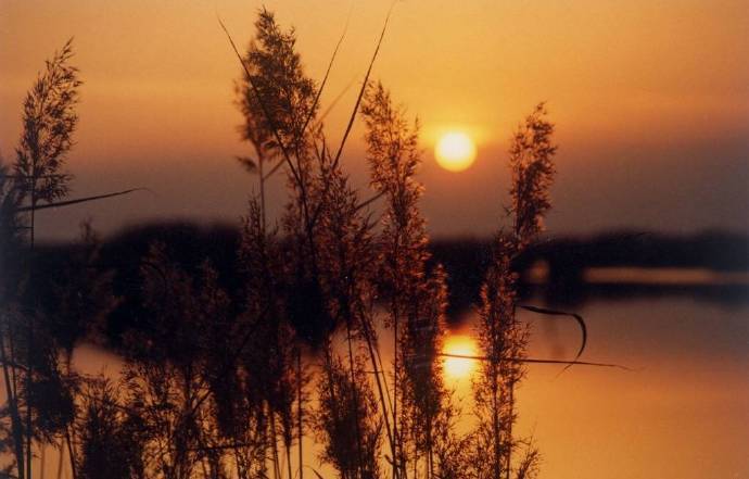 芦花深映夕阳红，断肠人在天涯。