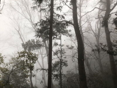 都江堰 青城山 自己用手机拍的 非专业 很渣 别喷