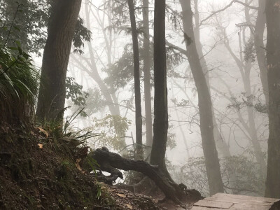 都江堰 青城山 自己用手机拍的 非专业 很渣 别喷