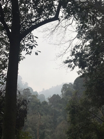 都江堰 青城山 自己用手机拍的 非专业 很渣 别喷