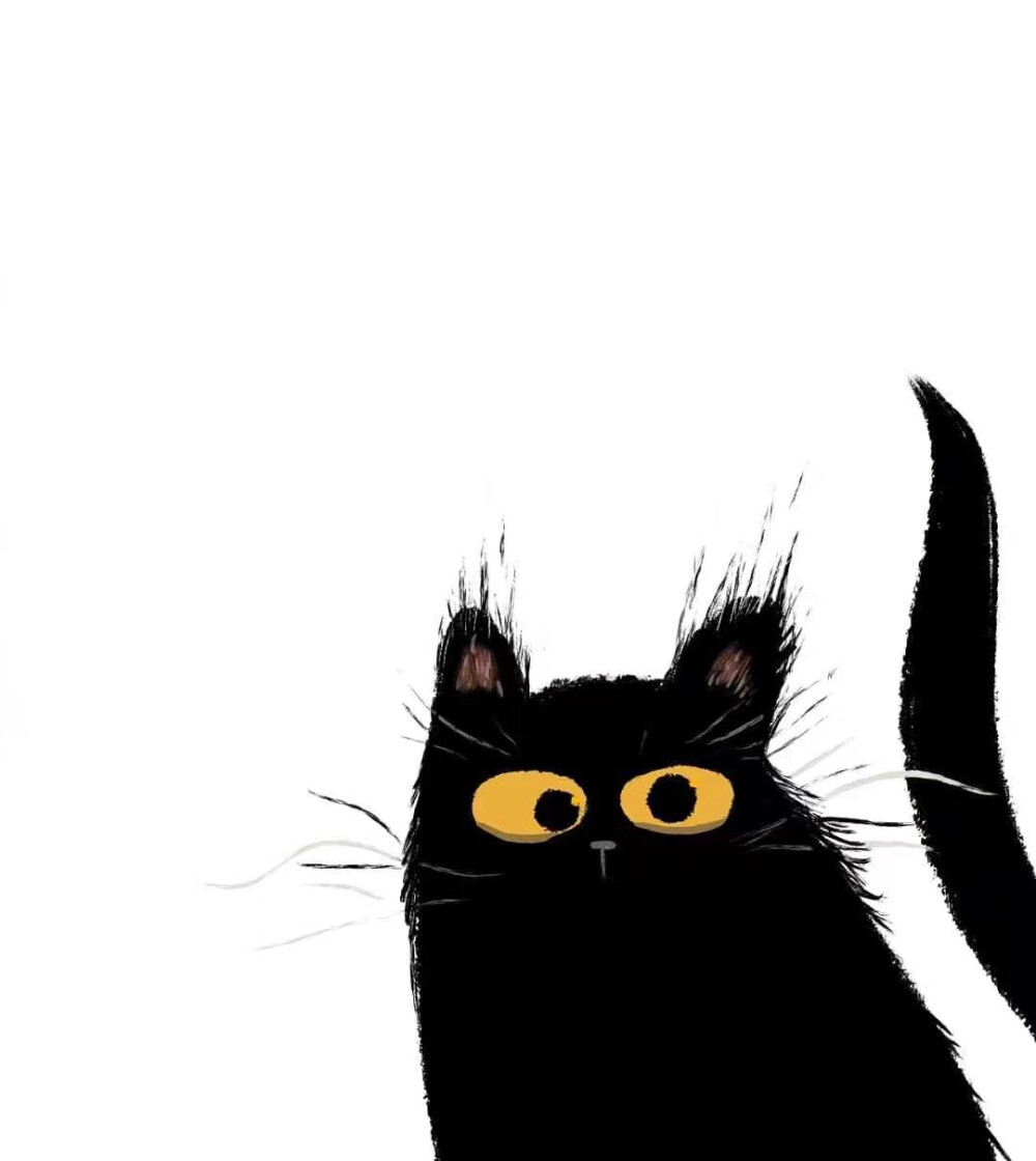 插画师dantavis笔下的小黑猫