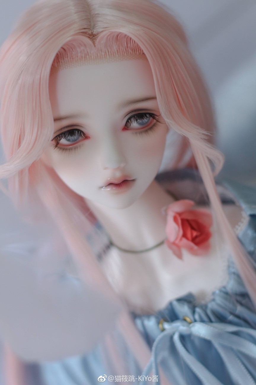 娃娃bjdbjd私养图片来源于微博