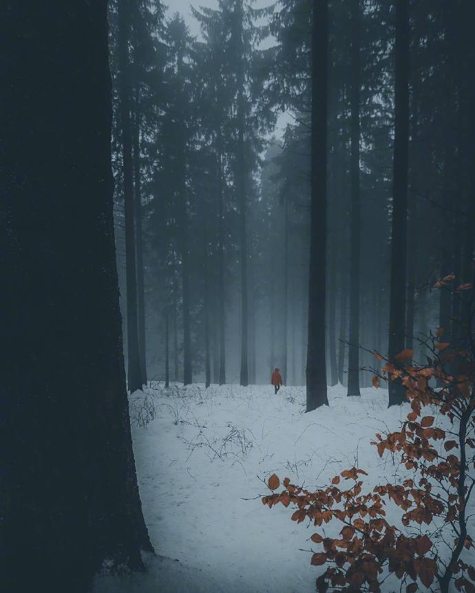 雪地冒险