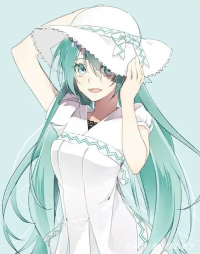 初音未来十二星座