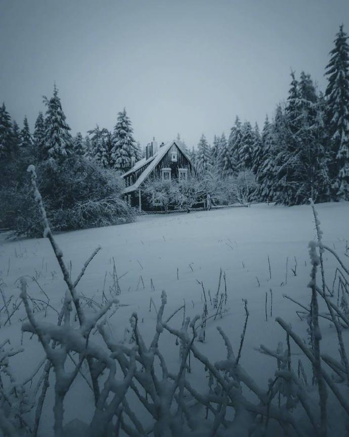 雪地冒险