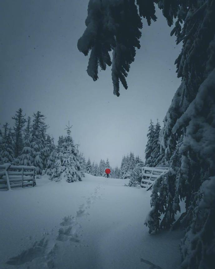 雪地冒险