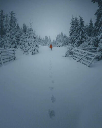 雪地冒险