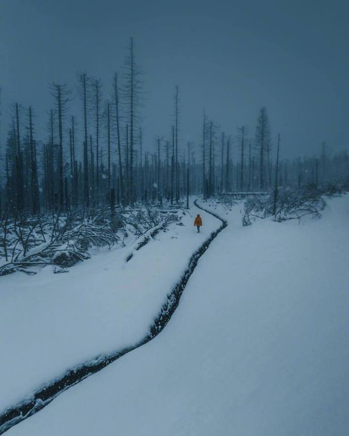 雪地冒险